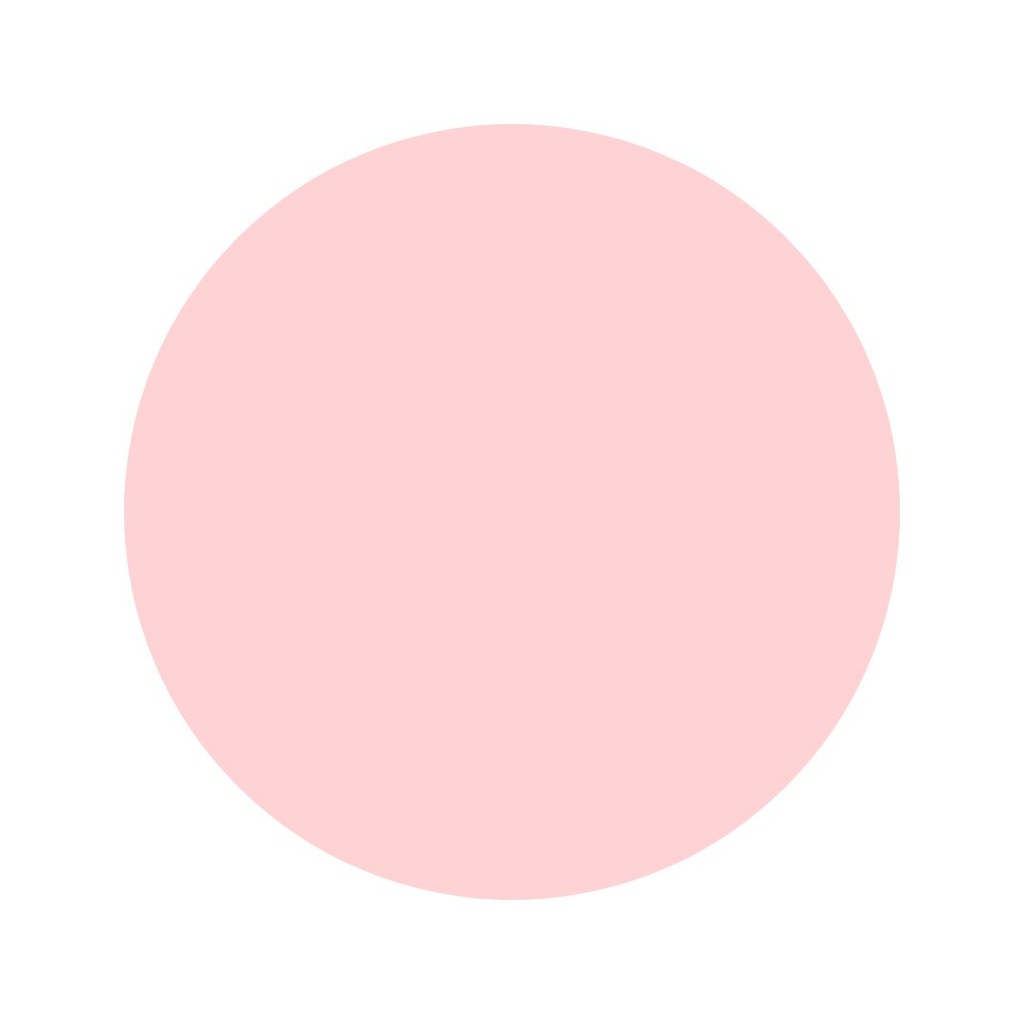 Stock Photo Nylon M63 Rose+ ArSunBack